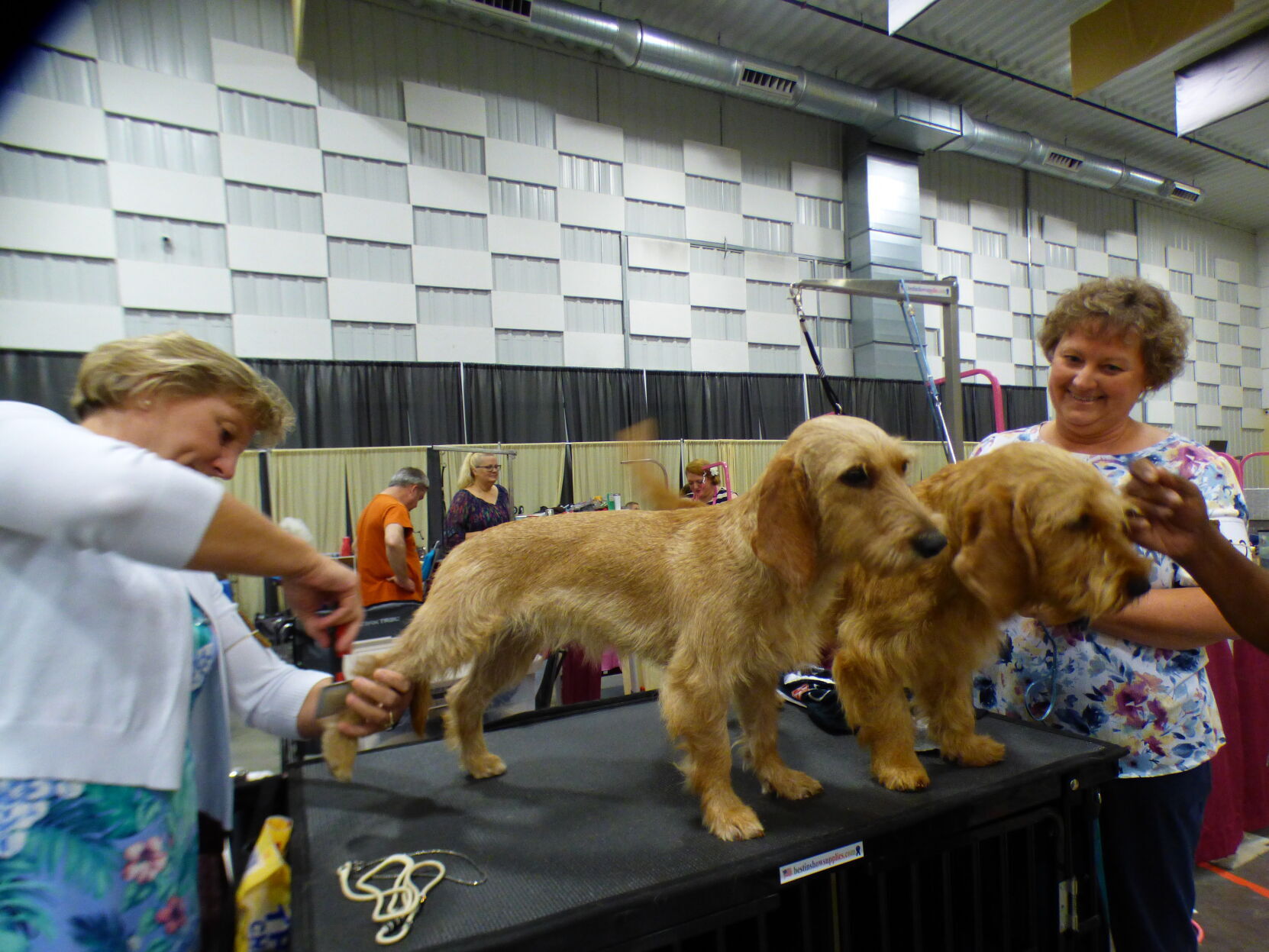 080922-nws-dog-show=claire.JPG